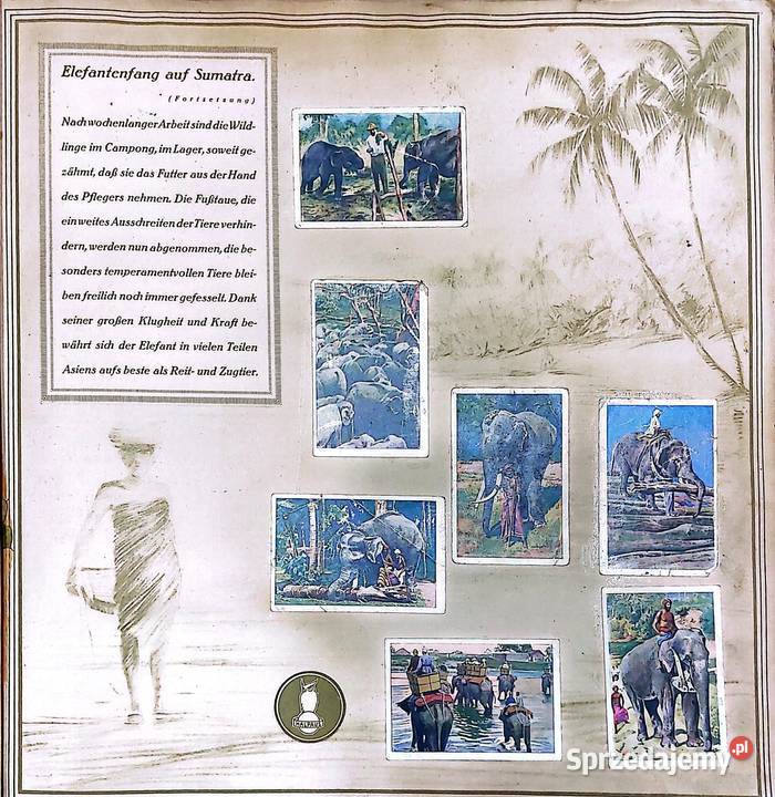 Allbum kolekcjonerski z 1929 r Mit Carl Konin sprzedam