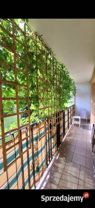 Mieszkanie na parterze Wodzisław Śląski