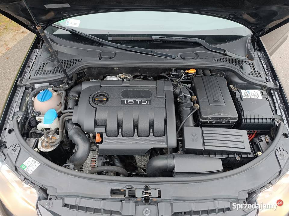 Audi A3 19 TDI pomorskie Wielki Klincz sprzedam