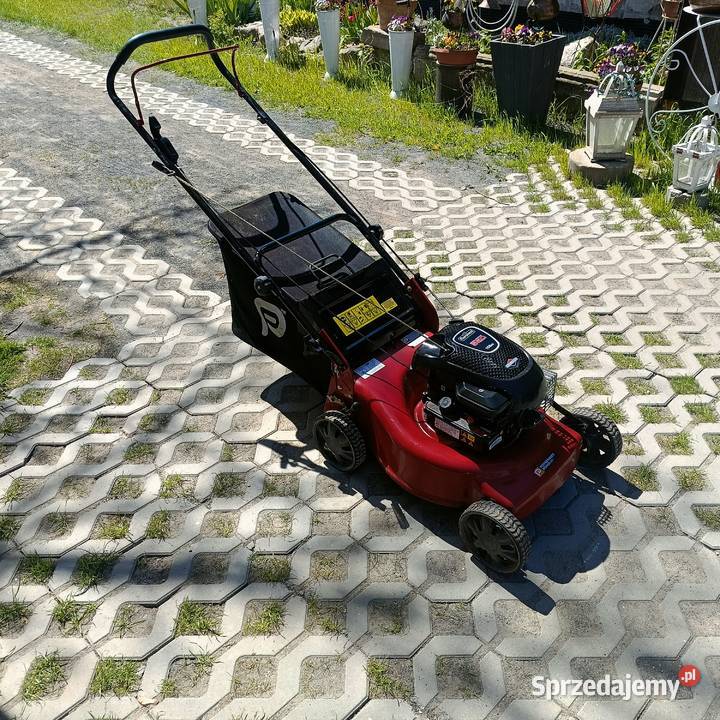 Kosiarka spalinowa bez napędu lekka dolnośląskie Pielgrzymka
