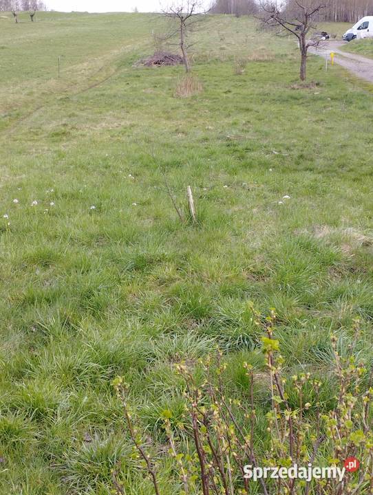 27 arów w Dobczycach Dobczyce