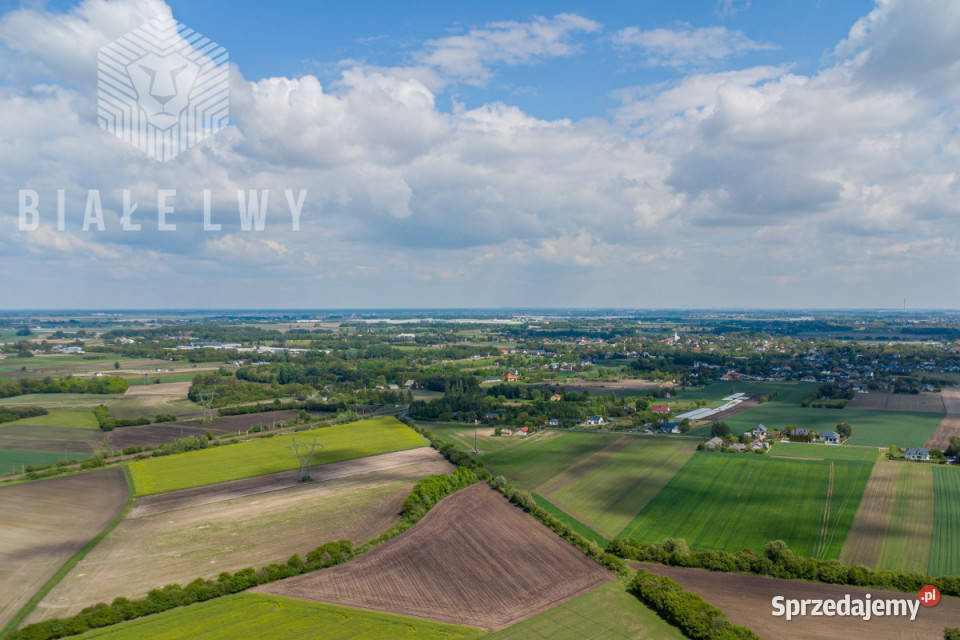 Grunt BieniewoWieś 1617m2 42m Bieniewo-Wieś