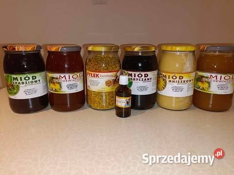 Sprzedam miód z własnej pasieki Górno sprzedam