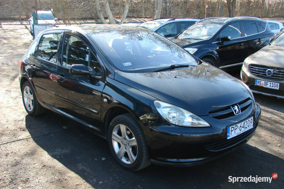 Peugeot 307 16 E 110 80000 stan listopad 2004 I Piła