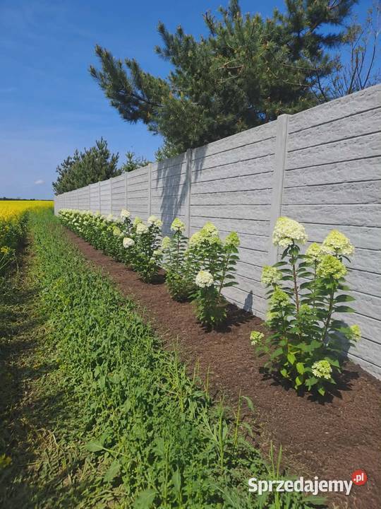 Ogrodzenia betonowe Producent Jelenia Góra