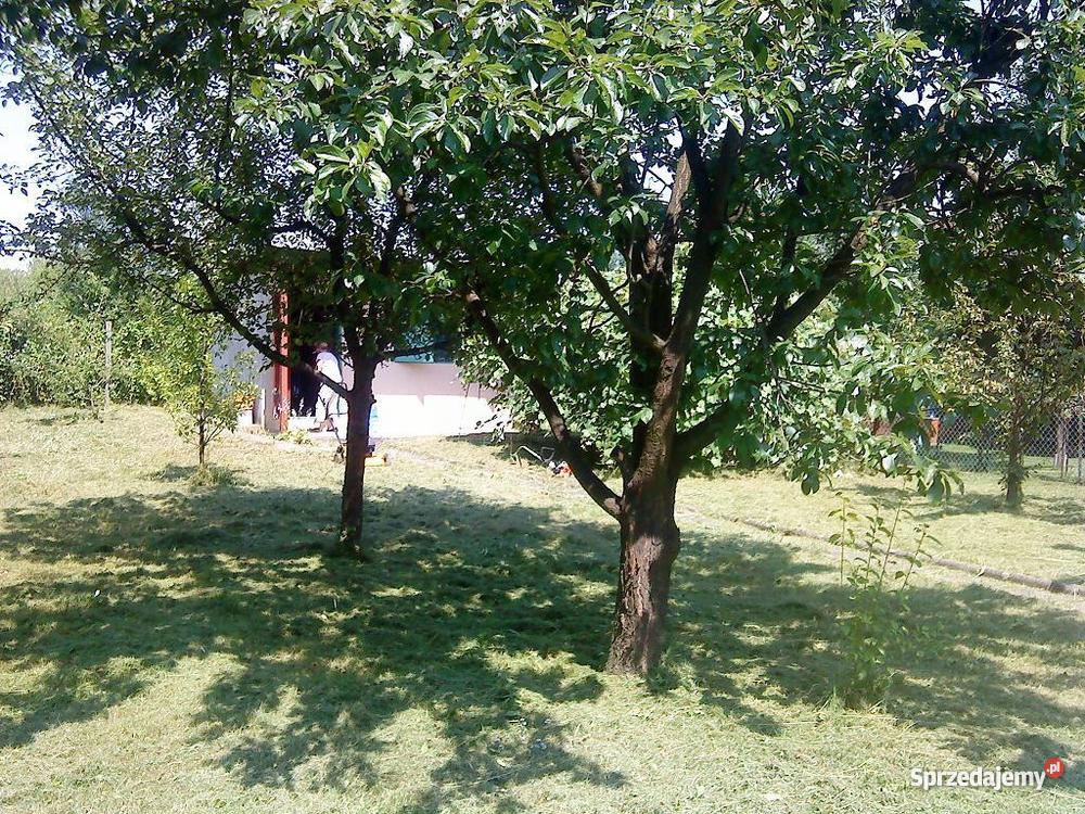 działkę ROD ogródek działkowy Kraków Kraków