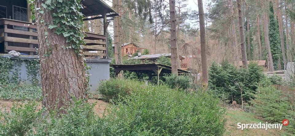 domek letniskowy Zbychowo 500m2