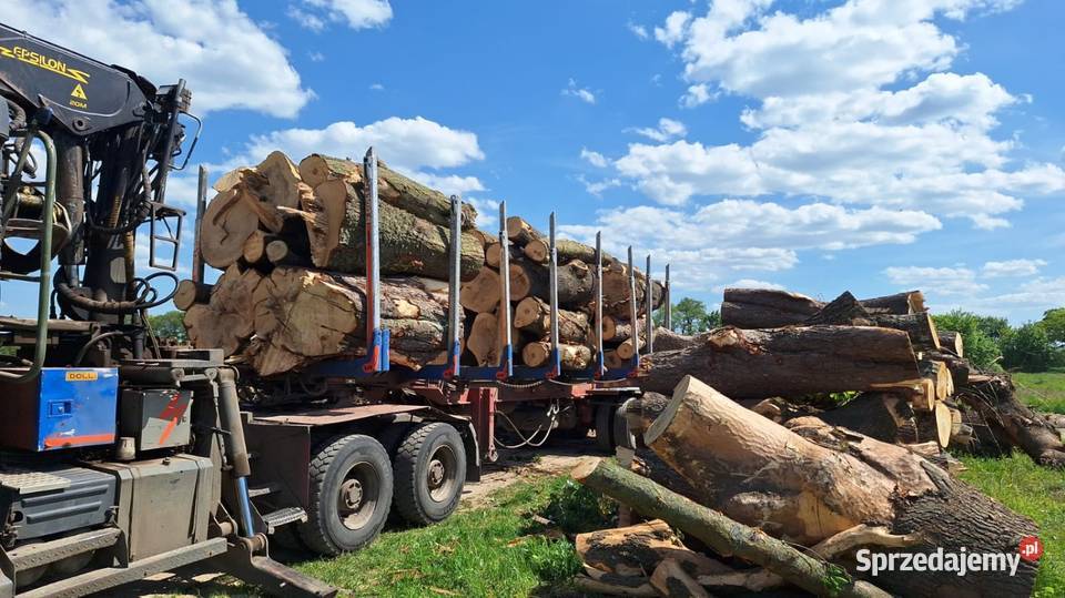 kominkoweod drewno opalowekominkowe buk