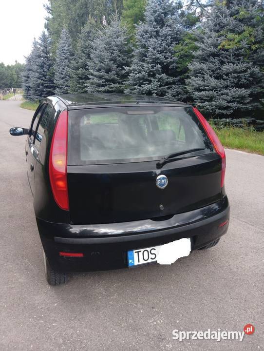 Sprzedam Fiat Punto II 1.2B 5D dobrze utrzymany Kunów - Sprzedajemy.pl