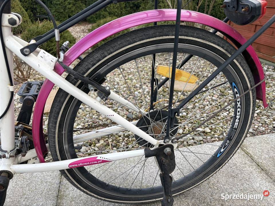 Rower dziewczęcy rayon 24