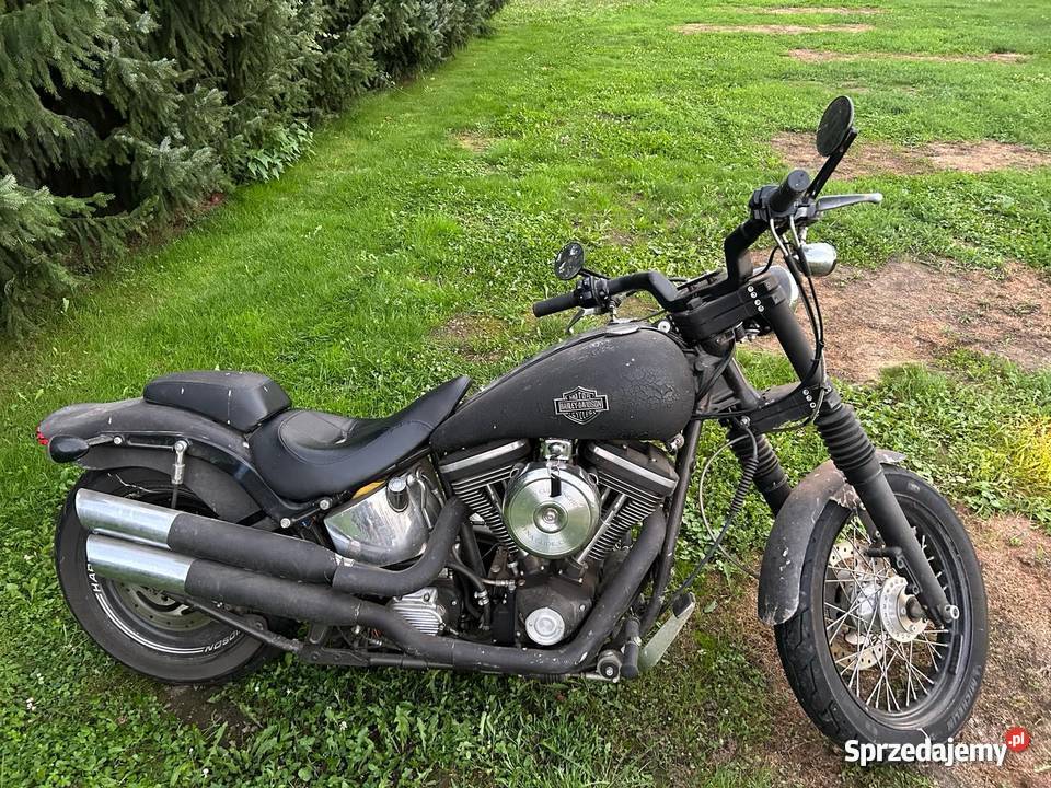 HarleyDavidson Fxstc softail custom EVO Harley-Davidson opolskie
