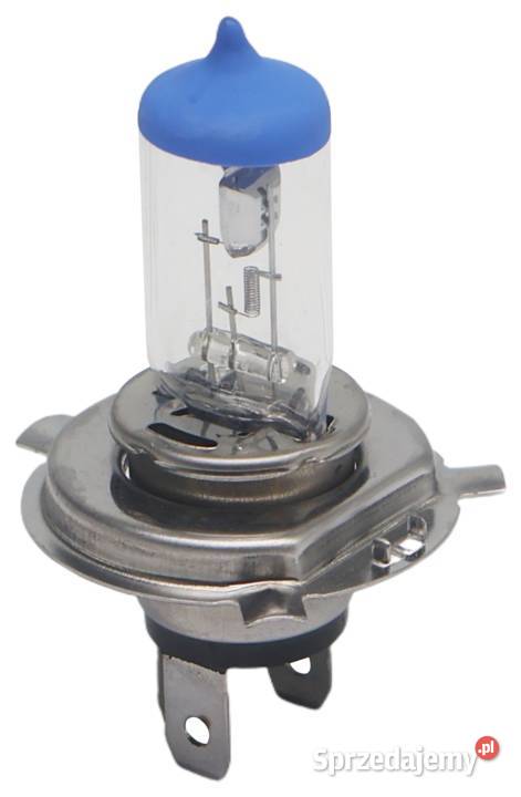 REFLEKTOR LAMPA Przednia Lewa H4 Z Żarówką URSUS Solec Kujawski
