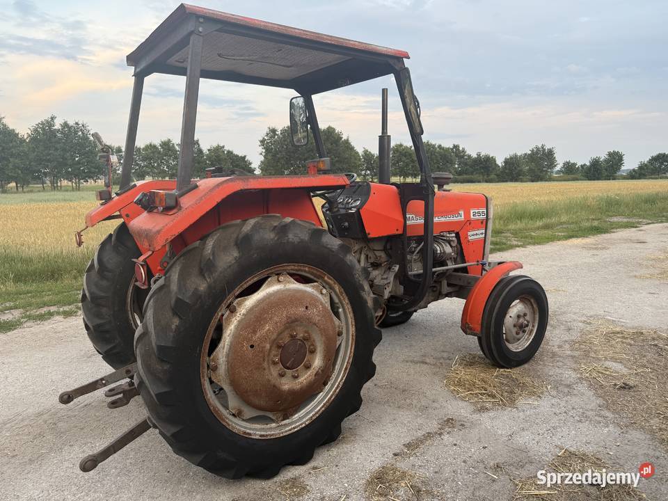 Massey ferguson 255 ursus Tczów