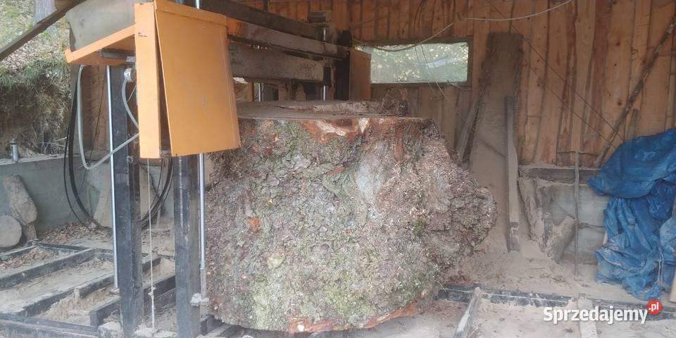 Tartak wielkogabarytowy ciecie drewna do 1800 Izdebnik