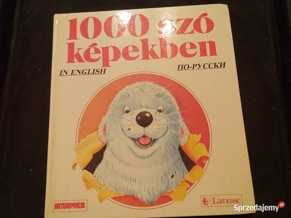 1000 szó kpekben 1000 słów w obrazkach Angielsko sprzedam