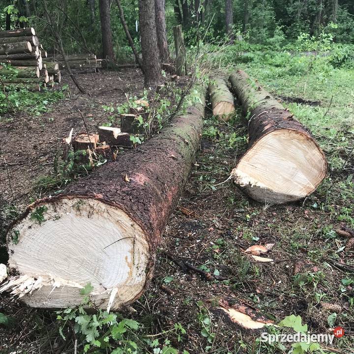 Drewno kominkowe opałowe budulec dł Jesion Dąb Zabłudów