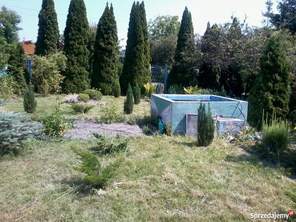Ogródek działkowy Chorzów sprzedam
