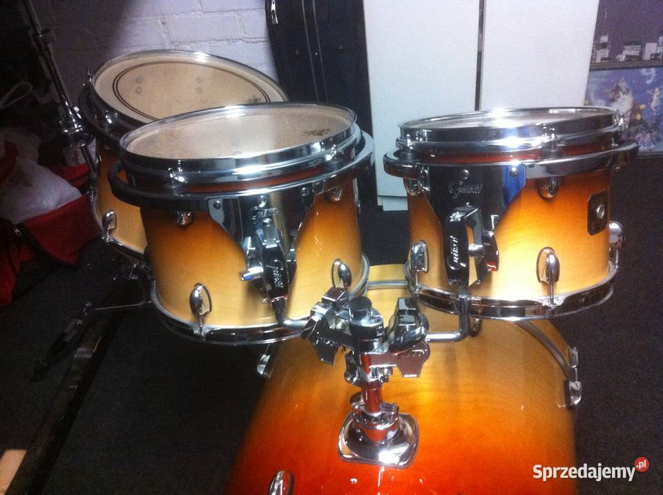 Gretsch Catalin Birchpokrowce Biłgoraj