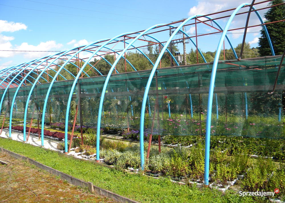 tunele foliowe własnej konstrukcji Stary Sącz