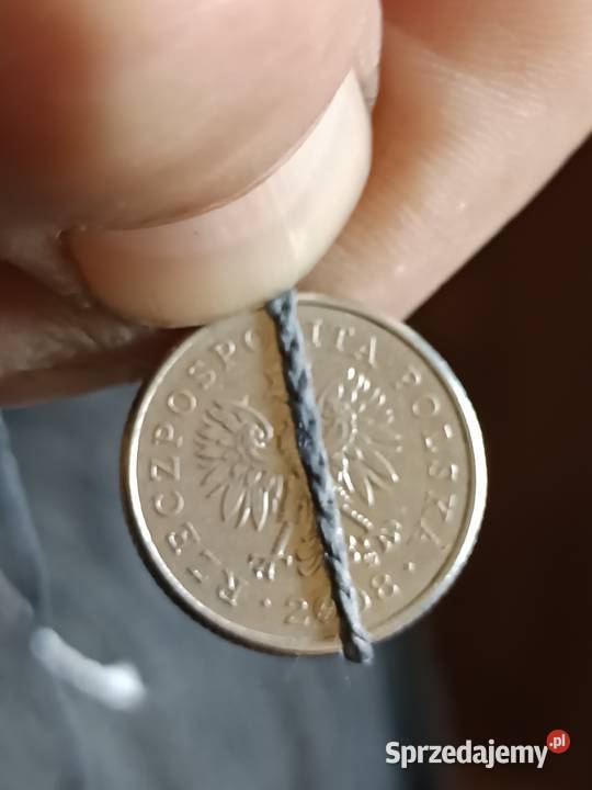 Sprzedam 20 groszy 2008 skretka Chełm