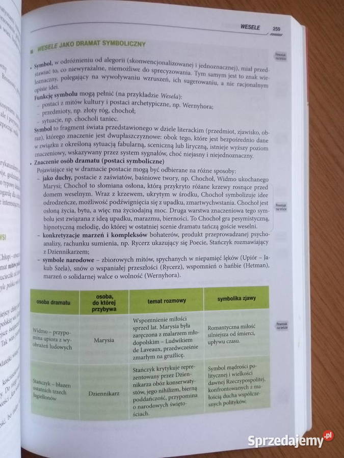 Repetytorium maturzysty język POLSKI GREG Dąbrowa Górnicza