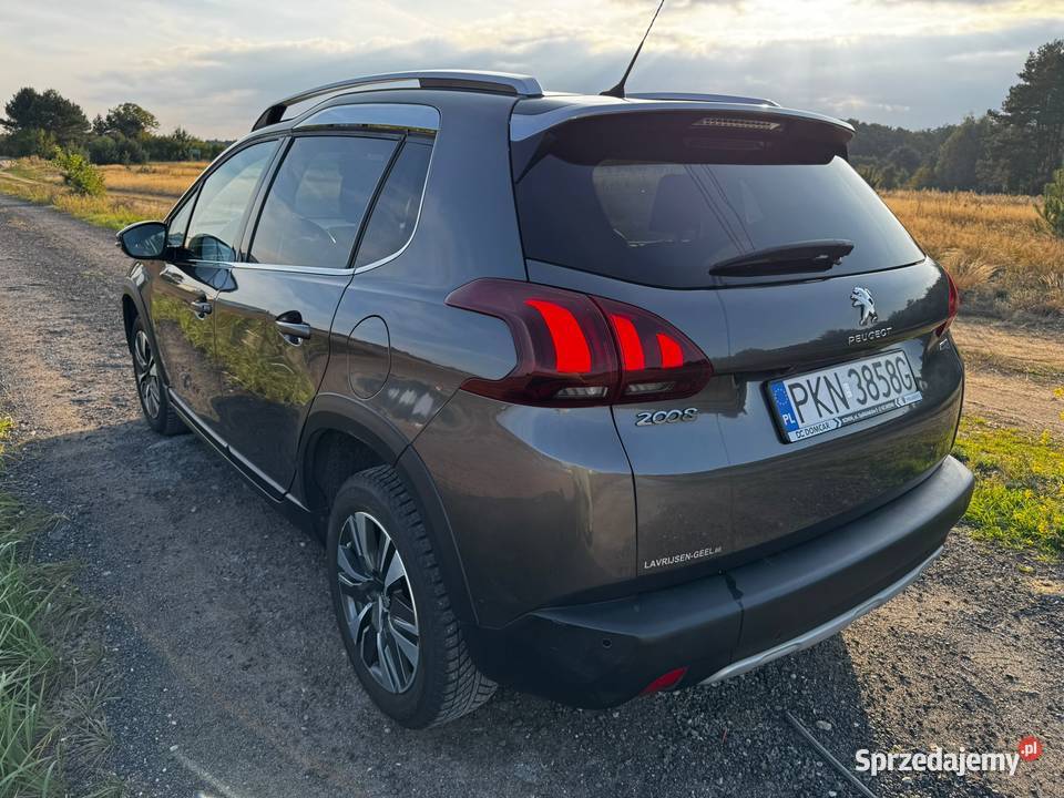 Peugeot 2008 AUTOMAT Bogata wersja Głodno