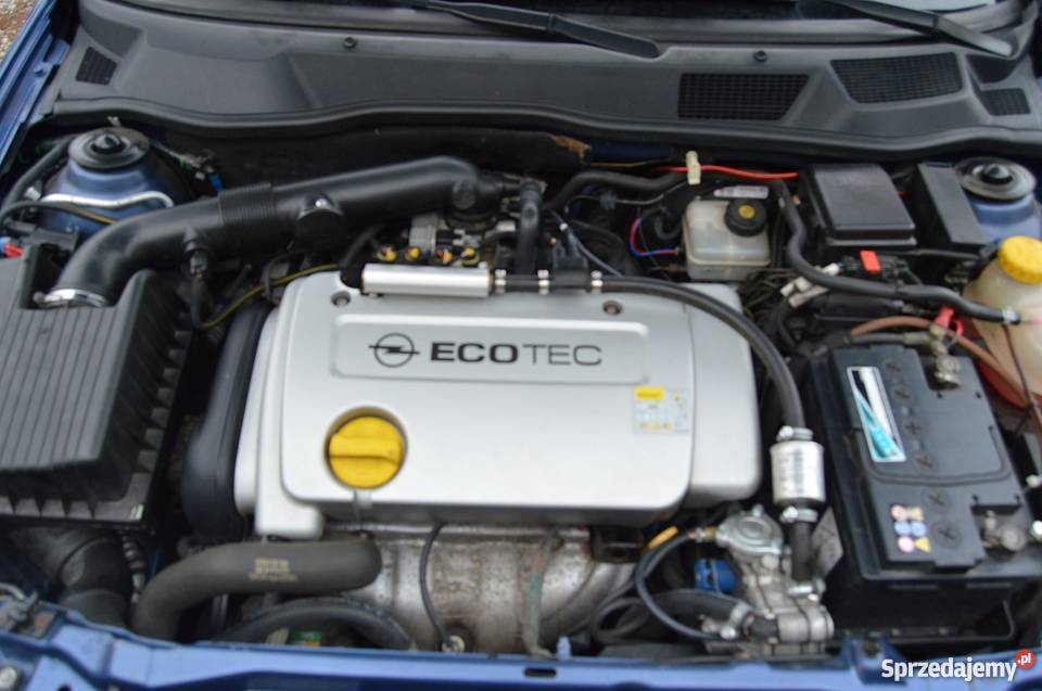 Opel Astra G 1 6 16v Ecotec Motor Opel astra G 1.6 16v ecotec + gaz sekwencja Kutno - Sprzedajemy.pl