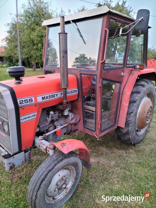Sprzedam masy Ferguson MF 255 ciągnik jest w Pilzno
