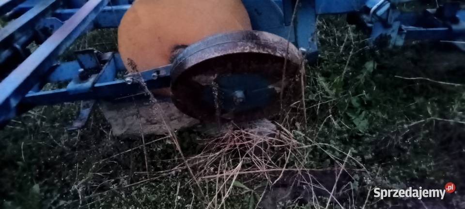 Cyklop polski Sadzarke do rozsady Chlewo