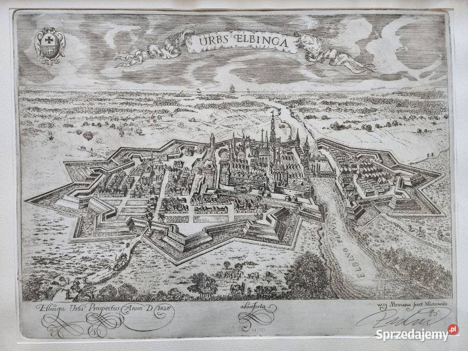 Historyczny Elbląg piękna rycina pomorskie