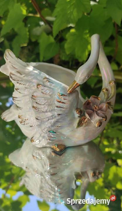 Osłonka Norcrest White Swan pełnoplastyczne łódzkie