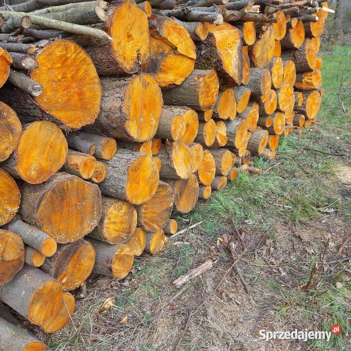 Olcha Kominkowe opalowe do wędzenia Legnica