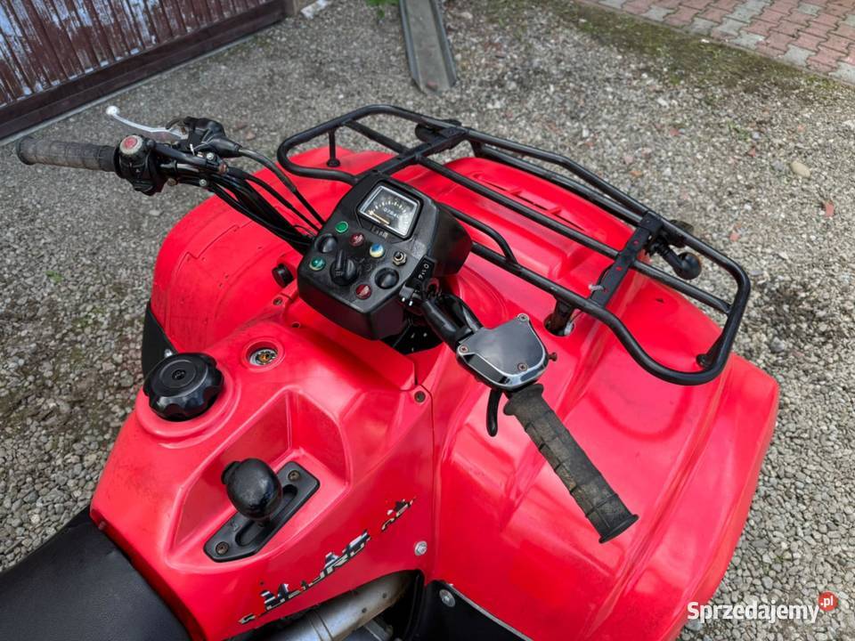 Suzuki Eiger 400 4x4 L7e 149kW HakTRANSPORT Rok produkcji 2008