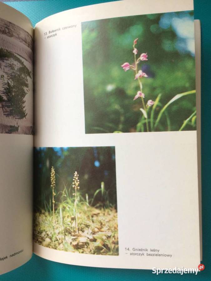 3429 Przewodnik Woliński Park Narodowy Szczecin