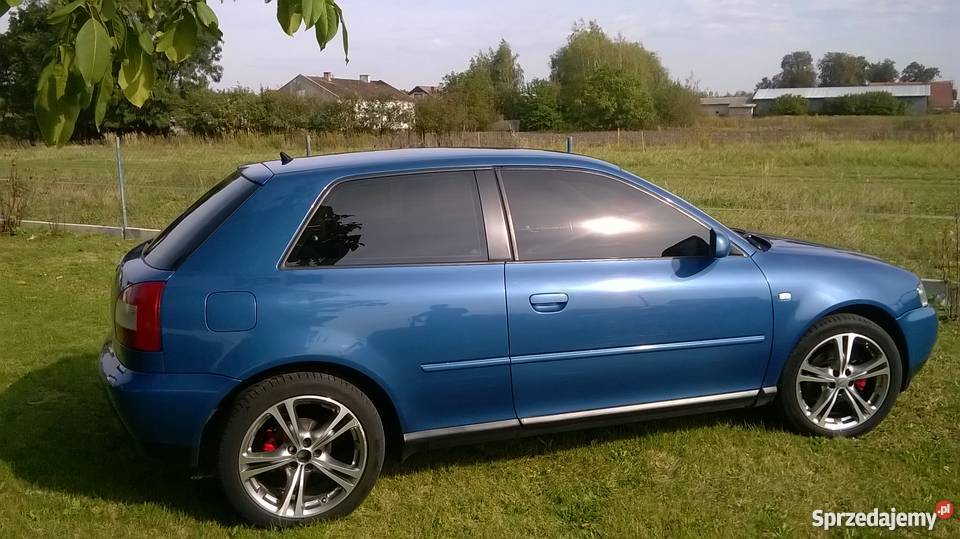 Audi A3 Godna Uwagi Super Stan Car Audio Ciemne Szyby 17 Kielczow Sprzedajemy Pl