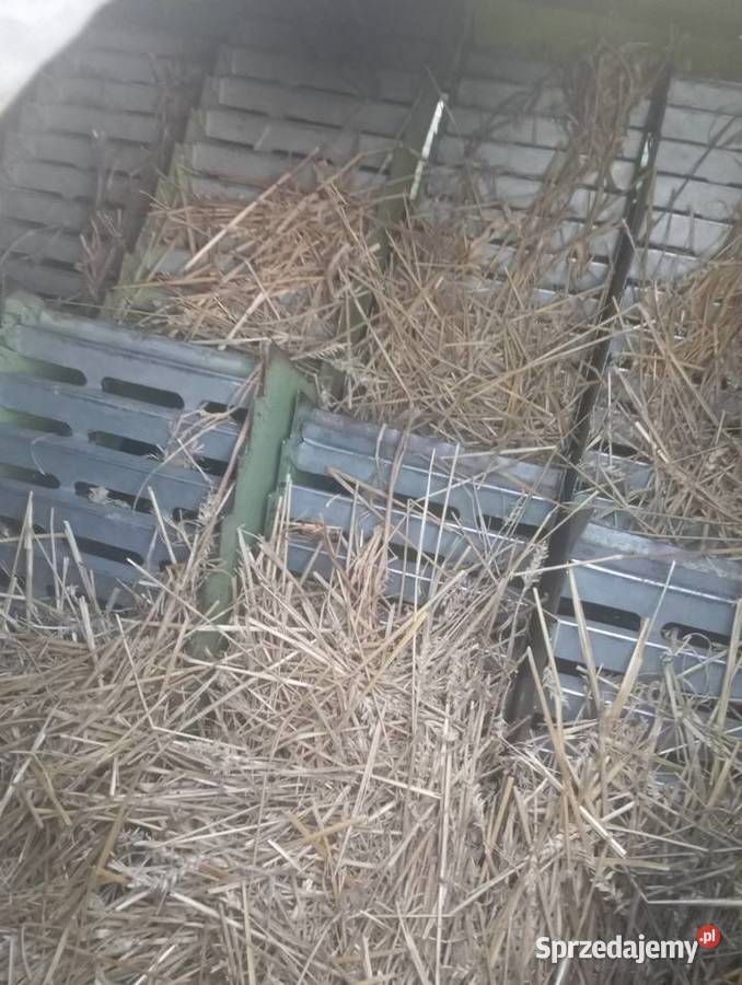 Wytrząsacze Claas Consul Kocina