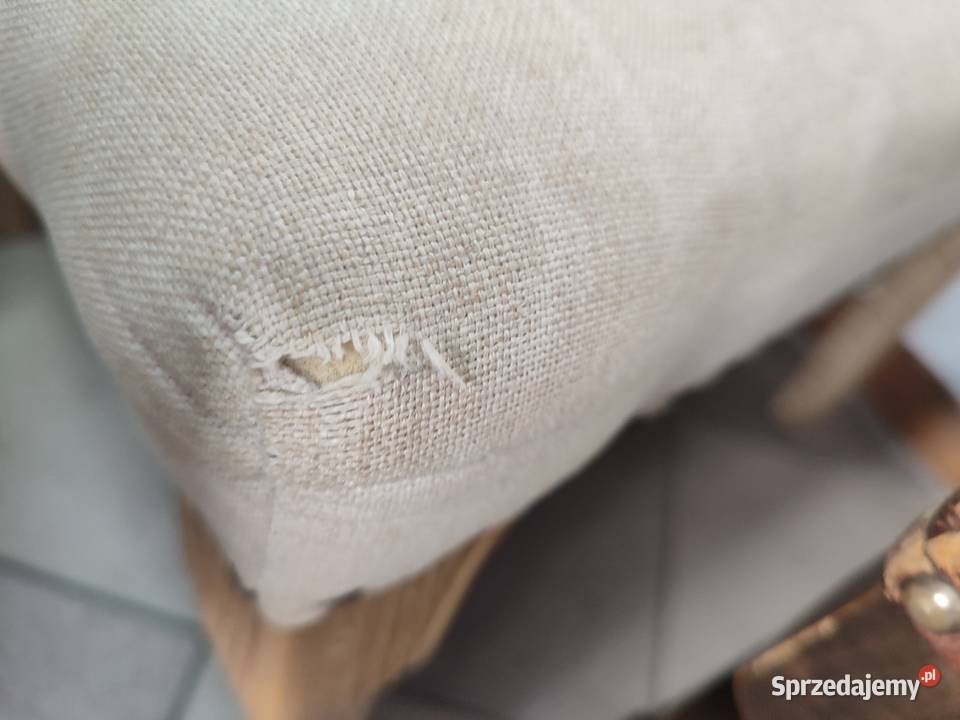 Fotele uszatki Malbork