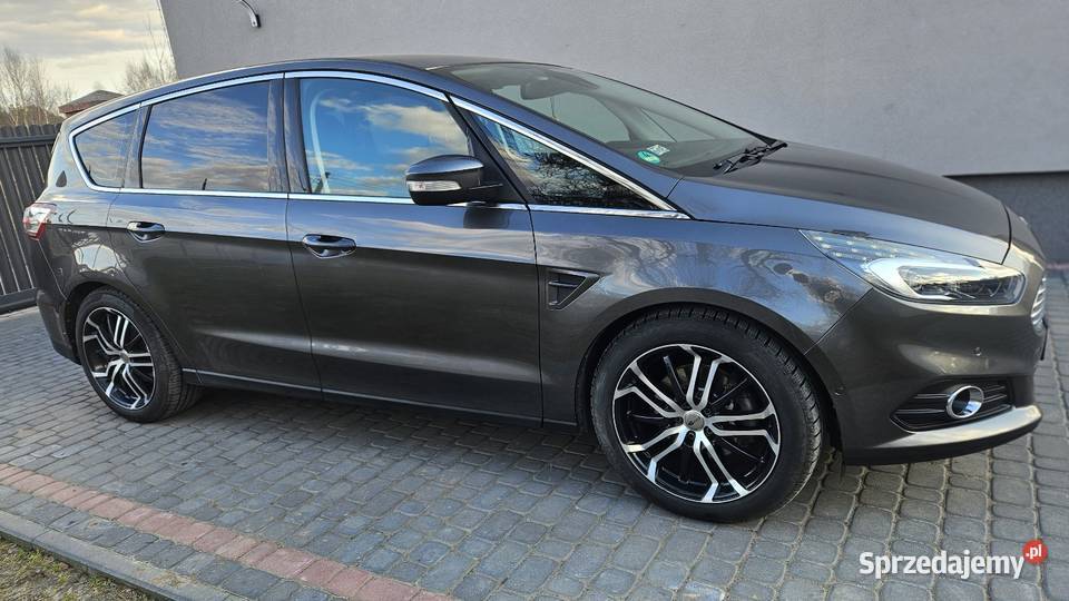 Ford S 20 TDCI 180 Gubin