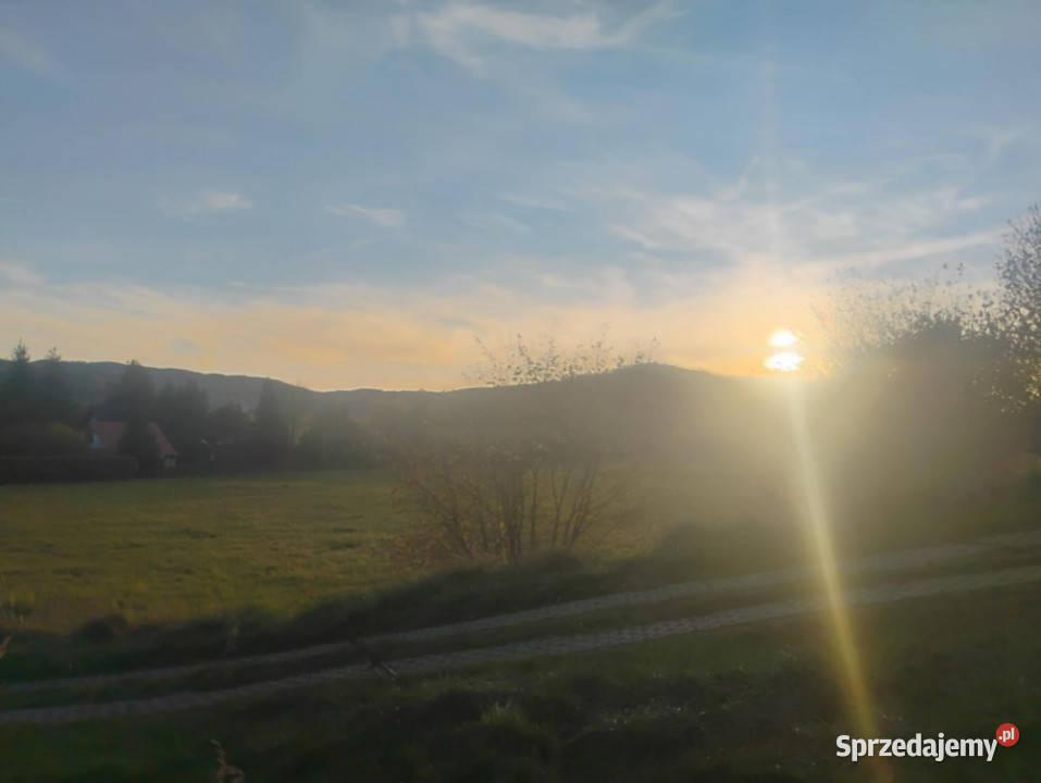 Sprzedam działkę z pięknym widokiem i świetnym Sprzedaż Radochów
