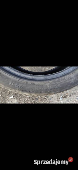 Opony całoroczne Dębica