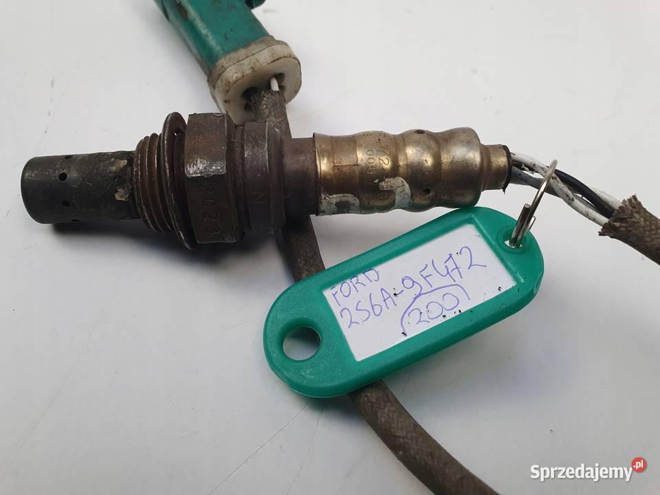 SONDA LAMBDA Ford COUGAR FIESTA IV V FOCUS Sondy lambda Chełm