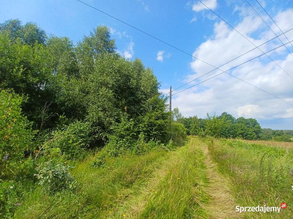 Działka budowlana 6200m2 Kołtki