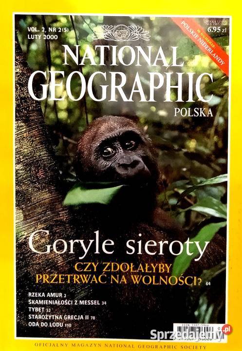 417 Czasopismo National Geographic Goryle mazowieckie Warka