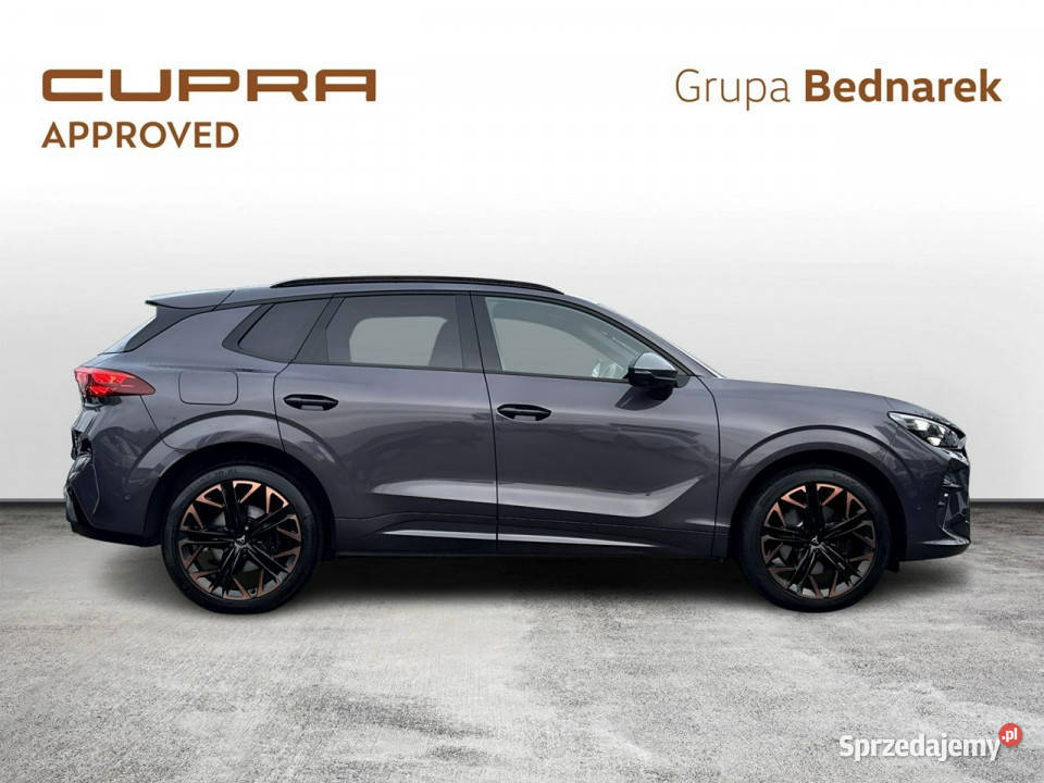 Cupra Terramar Bezwypadkowy Salon Polska Serwis komputer pokładowy