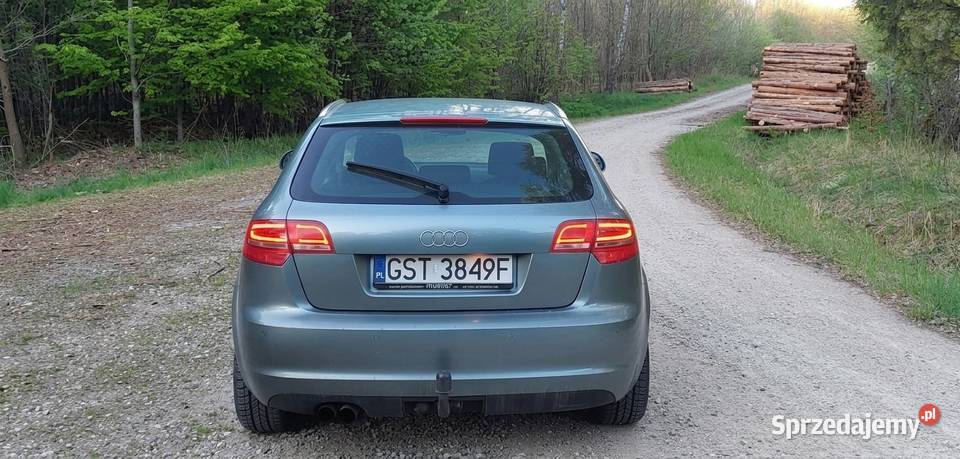 Audi a3 8p 2009r 20 tdi common rail 131 2000cm3 Linowiec