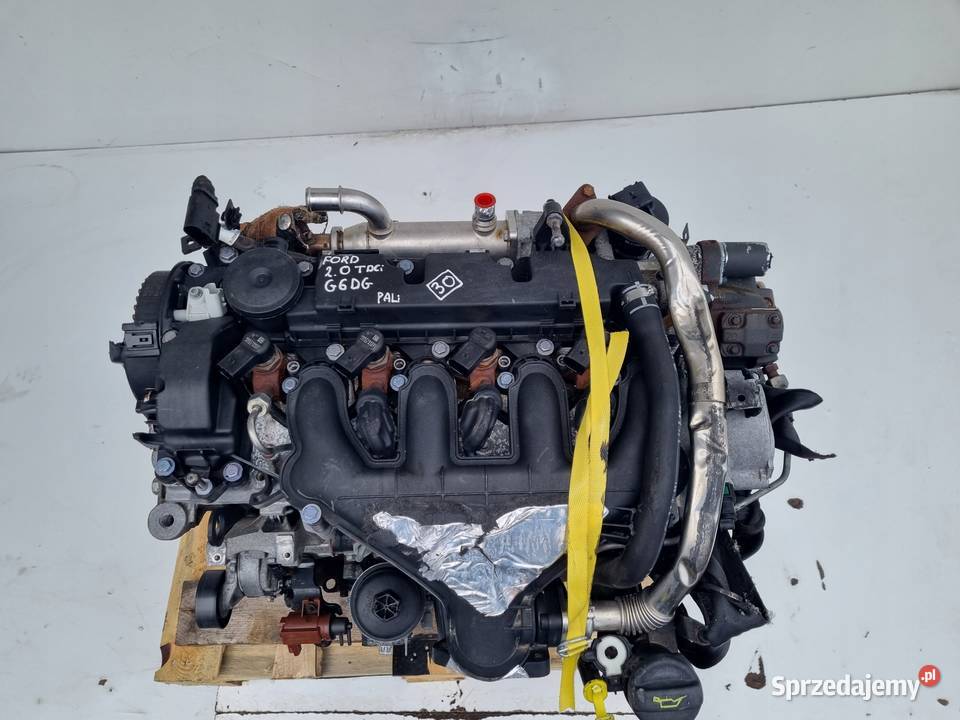 SILNIK KOMPLET Ford Kuga 20 TDCI 136 ładnie Rudka