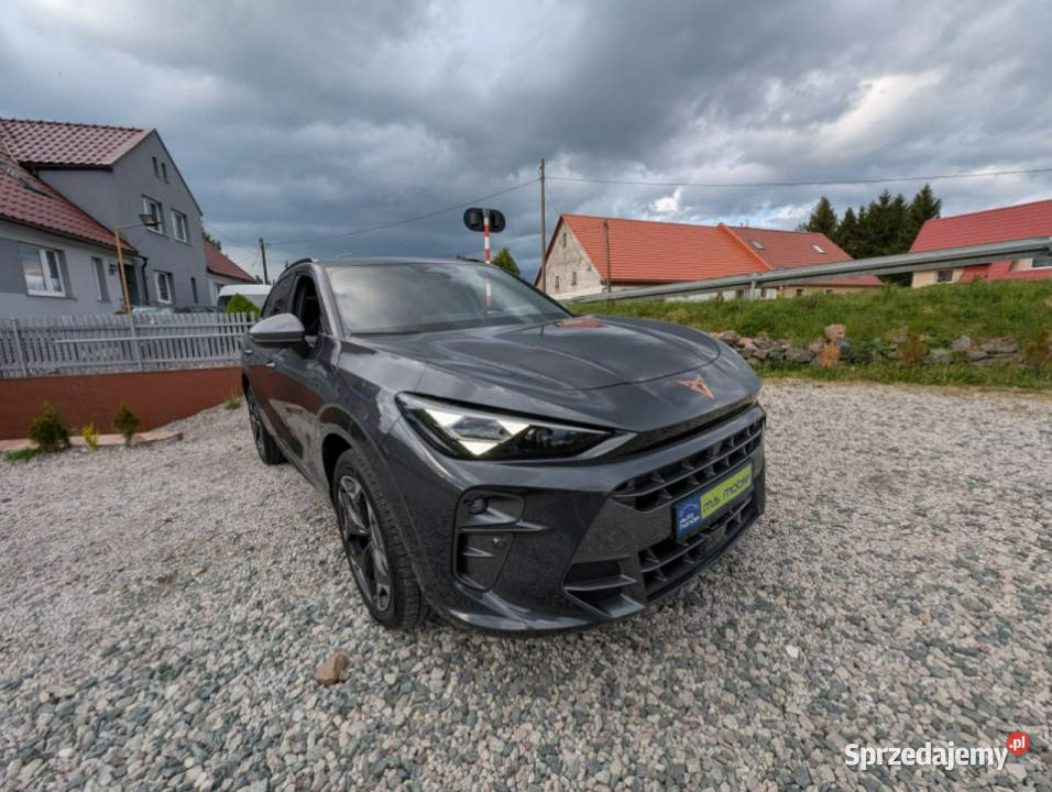 Cupra Terramar 20 TSI 265 4x4 SUV DSG7 Kamienna Góra