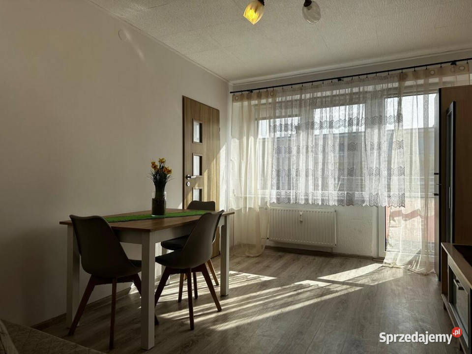 Na sprzedaż 3 pokoje remoncie 4815 m2 Liczba pokoi 3 Piotrków Trybunalski