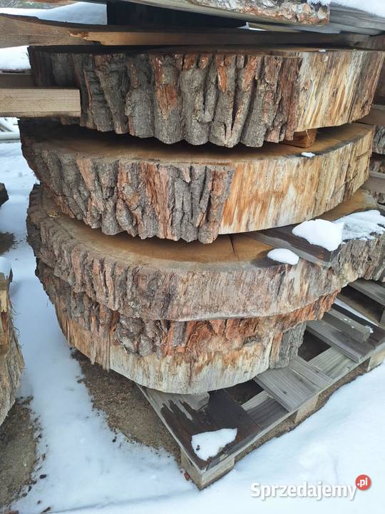 Drewno Foszty Plastry pod żywicę Dzikowiec