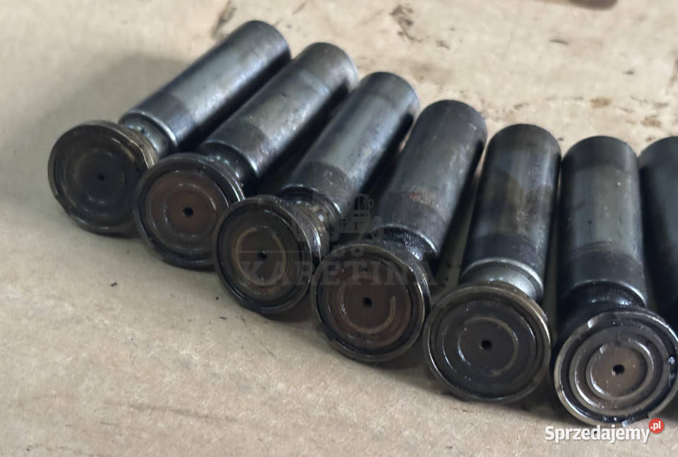 Bosch Rexroth R902462382 Pompa Hydrauliczna wielkopolskie